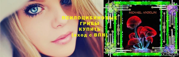 хмурый Алексин