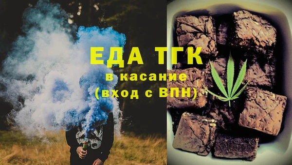 хмурый Алексин