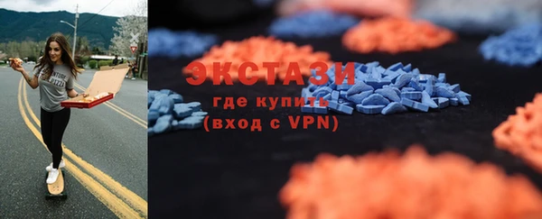 хмурый Алексин