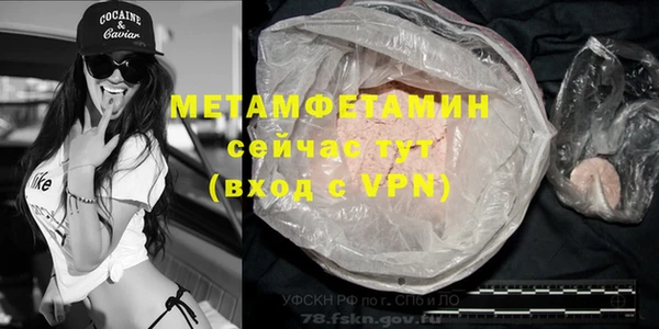 хмурый Алексин
