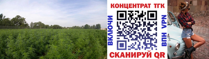 Дистиллят ТГК вейп  что такое   Ардатов 
